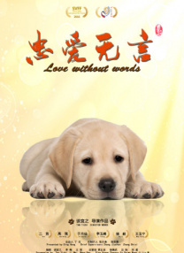 午夜不卡视频